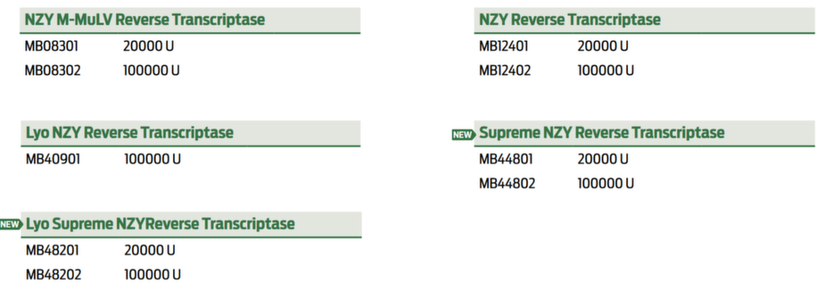 C2024_NZYTech_Reverse Transkriptase.png